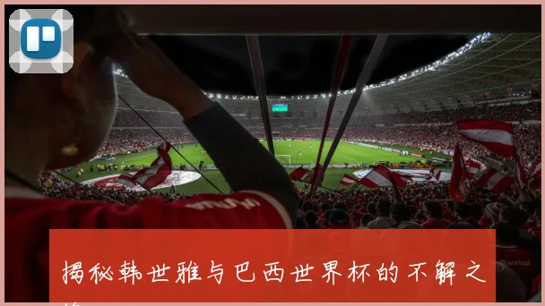 揭秘韩世雅与巴西世界杯的不解之缘