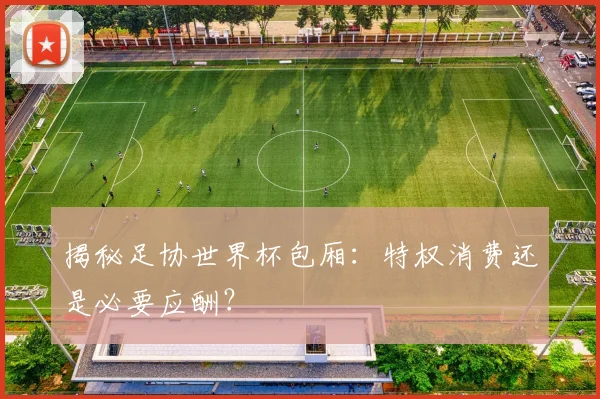 揭秘足协世界杯包厢：特权消费还是必要应酬？