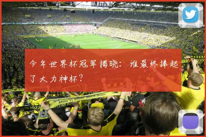 今年世界杯冠军揭晓:谁最终捧起了大力神杯?