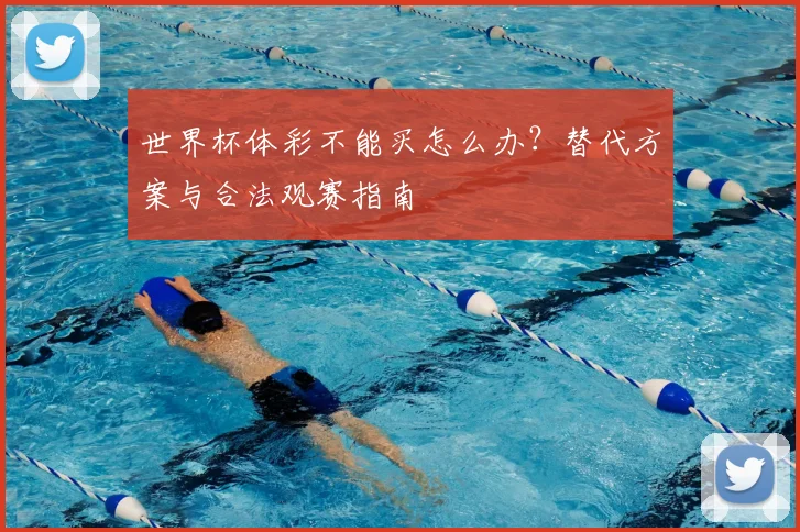 世界杯体彩不能买怎么办?替代方案与合法观赛指南