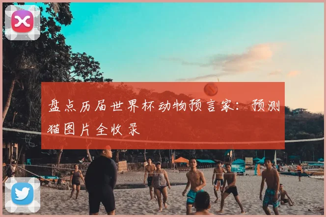 盘点历届世界杯动物预言家:预测猫图片全收录