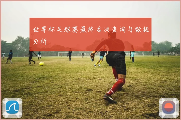 世界杯足球赛最终名次查询与数据分析