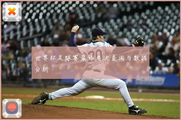 世界杯足球赛最终名次查询与数据分析