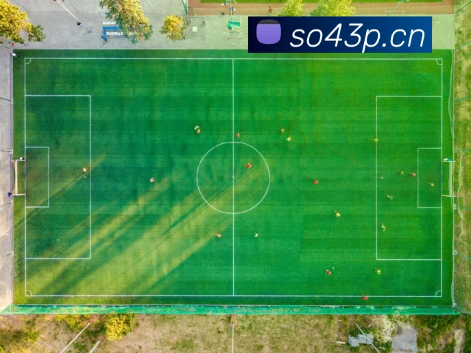 乐鱼网页版在线登录平台生态图