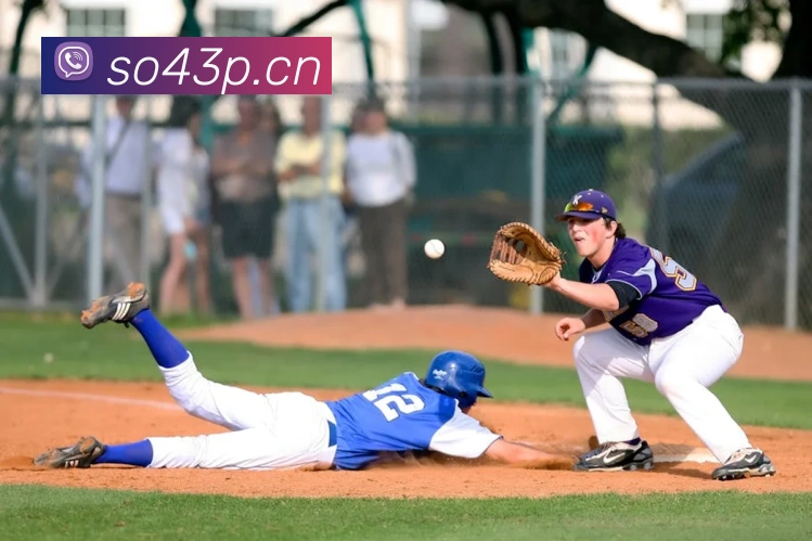 乐鱼网页版在线登录APP 封面图